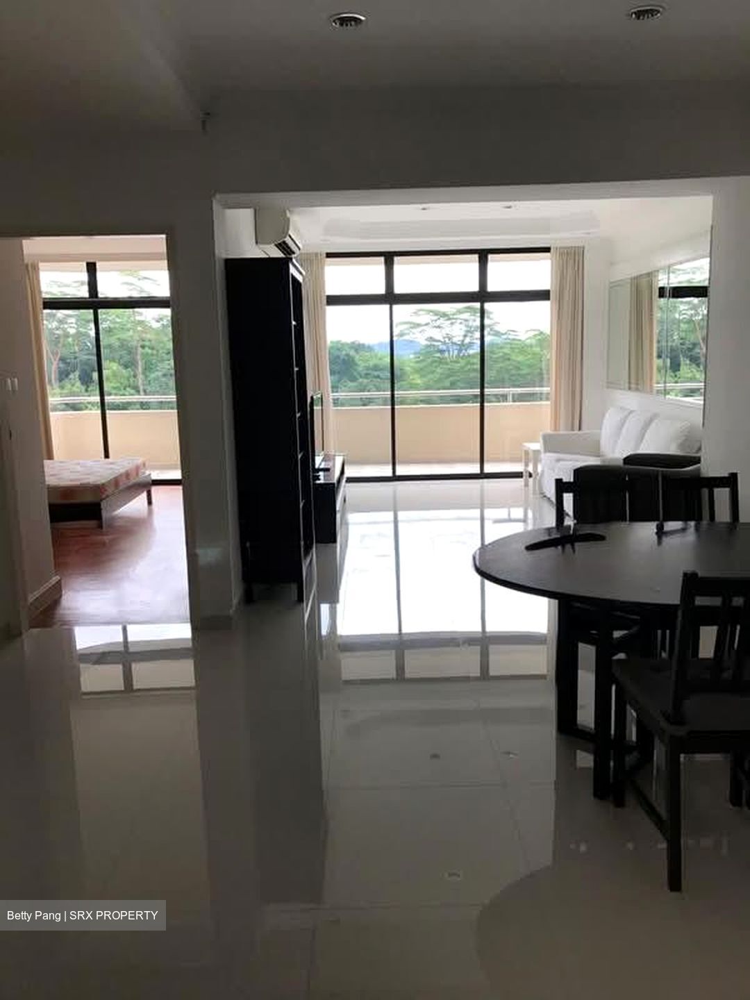 Allsworth Park (D10), Condominium #535281421